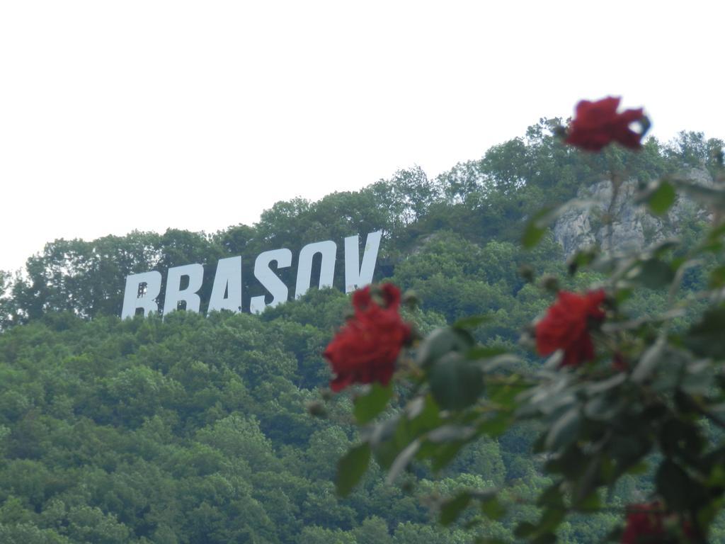 La Vita E Bella Hotell Braşov Exteriör bild